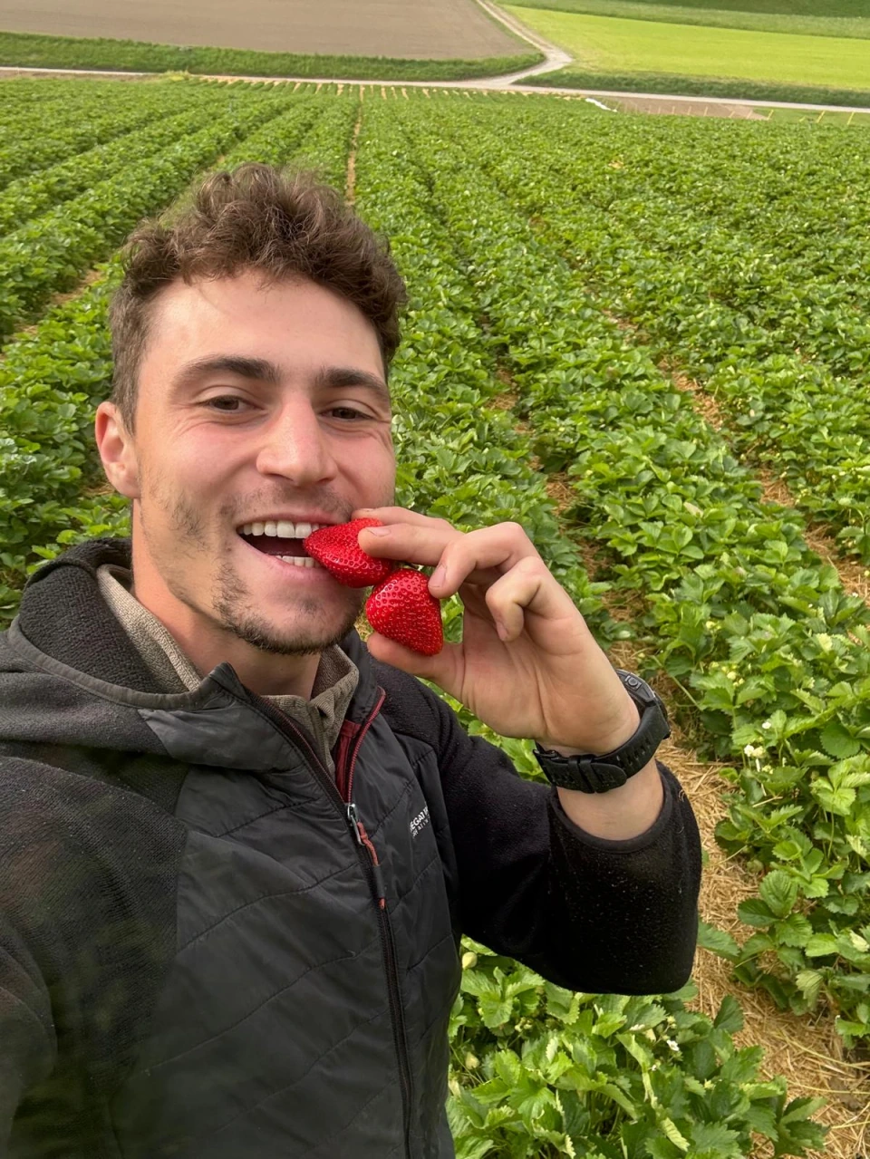 Sebastian mit Erdbeeren auf dem Feld