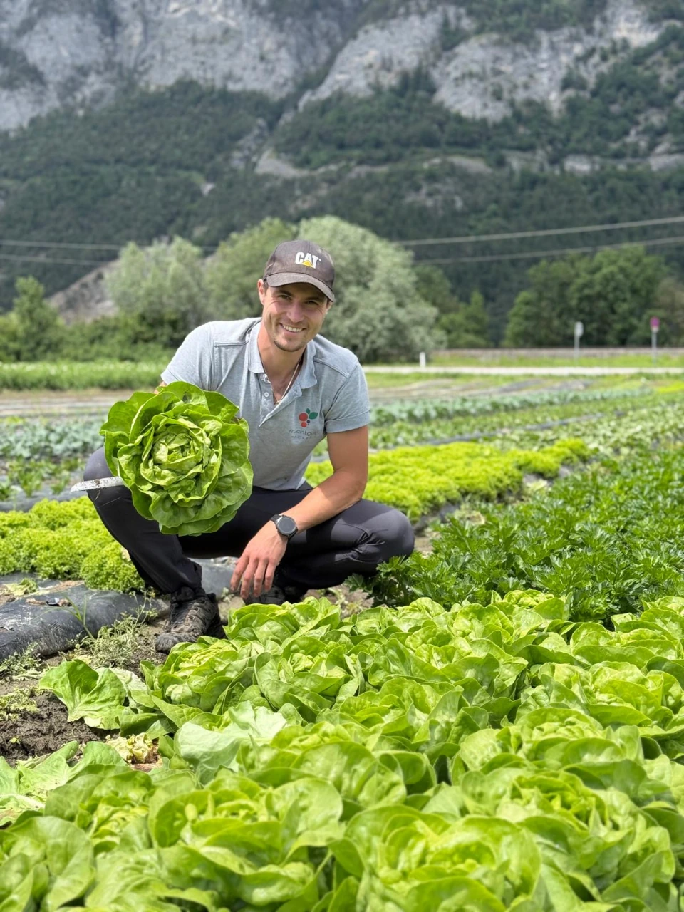 Mann mit einem geernteten Salatkopf auf dem Feld