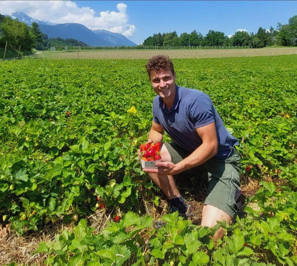 Mann mit einer Schale Erdbeeren im Feld