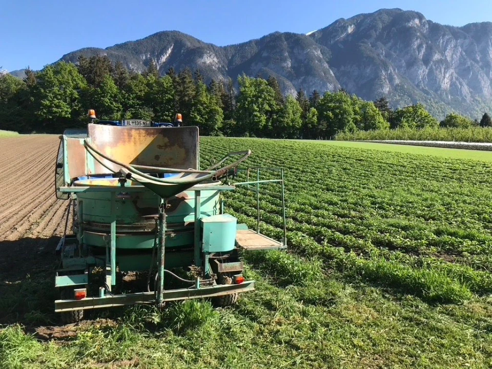 Landwirtschaftliches Gerät am Rand des Erdbeerfelds